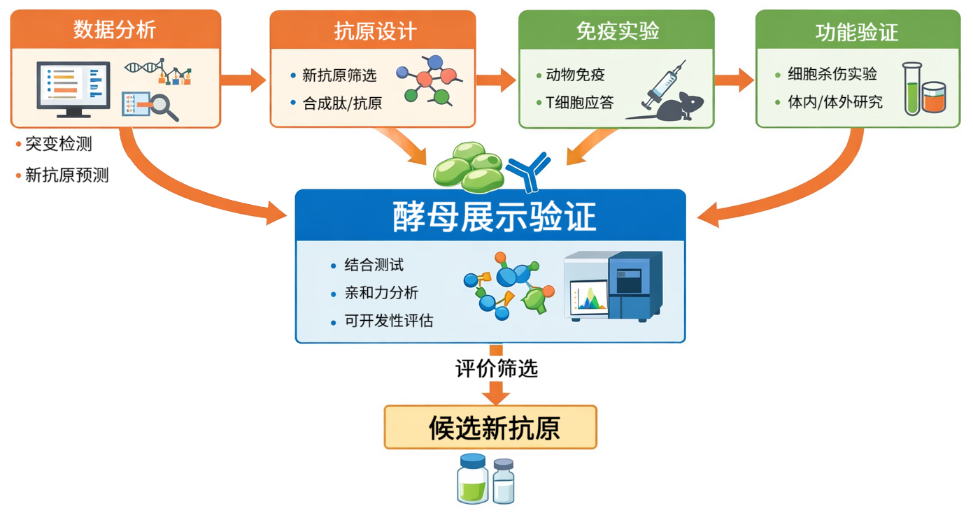 首页图片